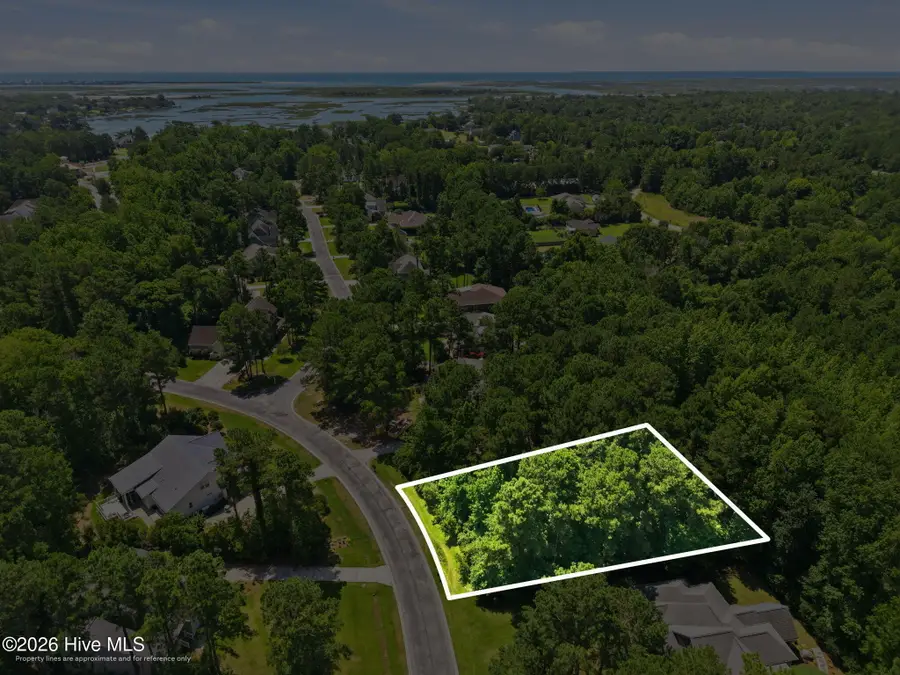 135 Hydrangea Lane, Hampstead, NC 28443 - #3