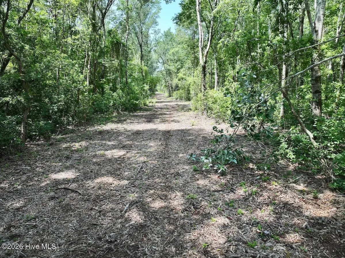 28 Guinea Mill Road, Ernul, NC 28527 - #1