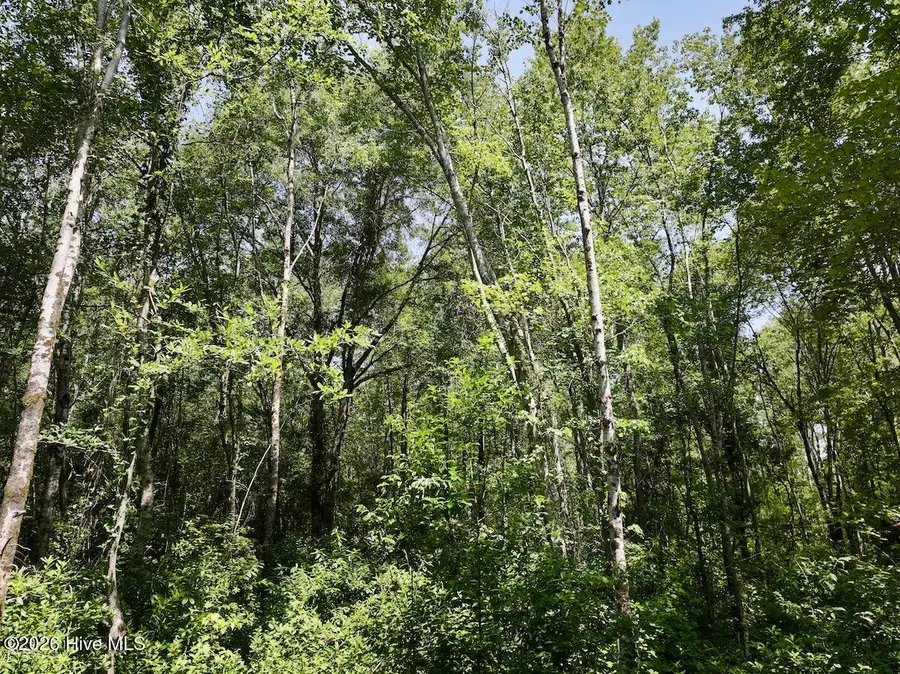 28 Guinea Mill Road, Ernul, NC 28527 - #3