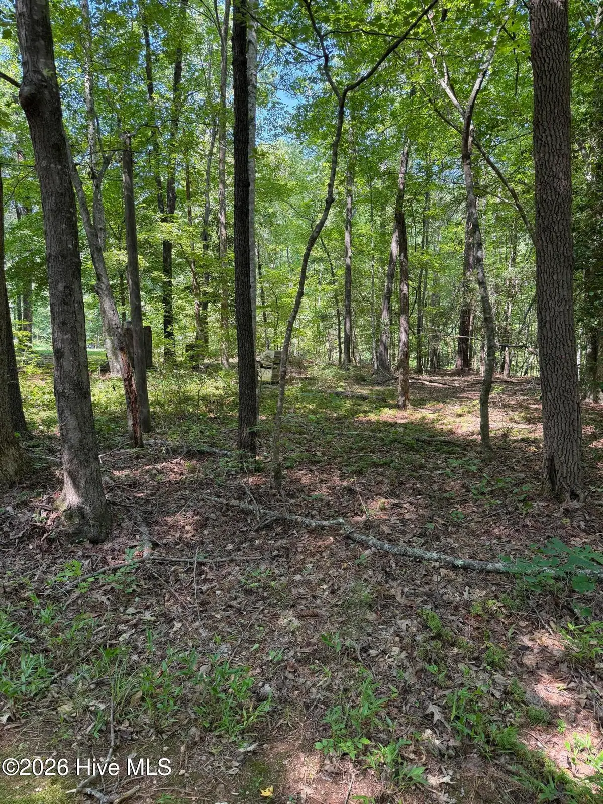 153 Omaha Drive, Louisburg, NC 27549 - #1