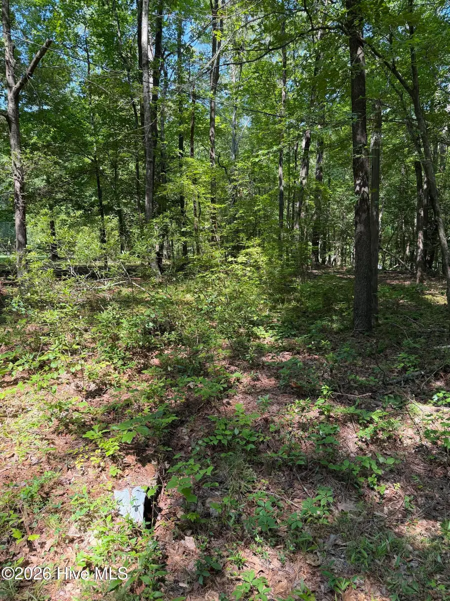 153 Omaha Drive, Louisburg, NC 27549 - #2