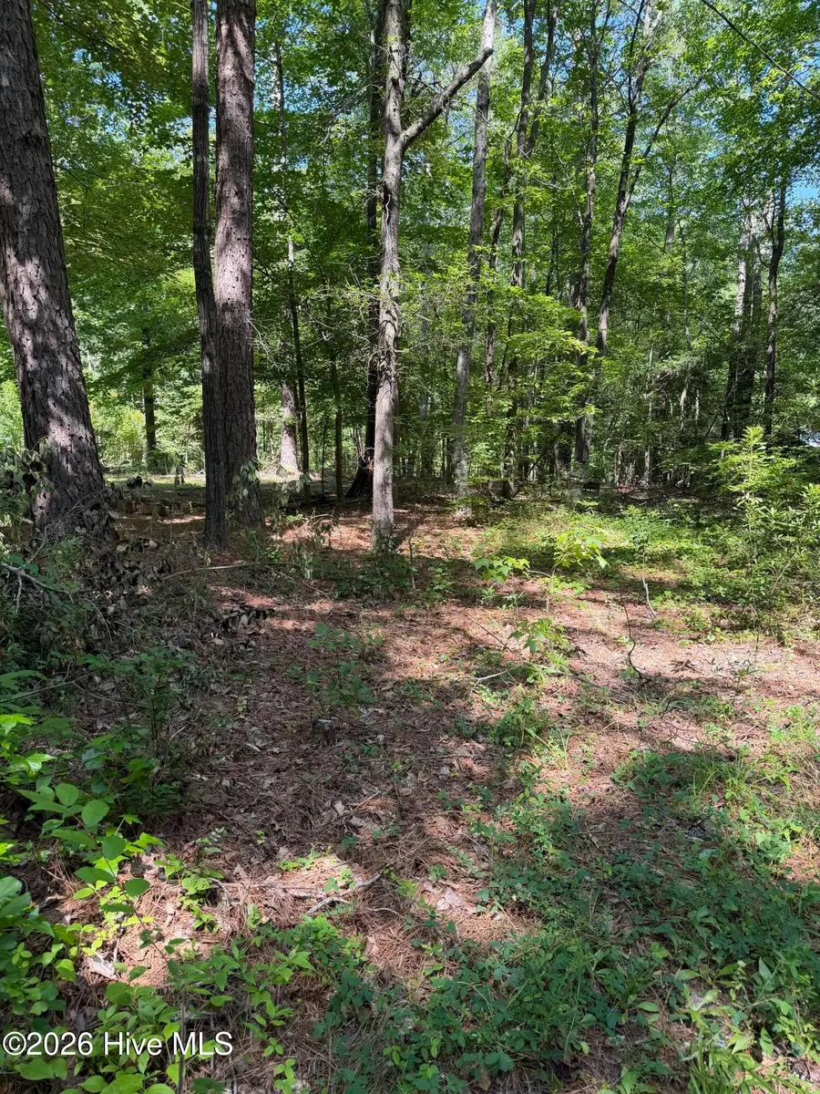 153 Omaha Drive, Louisburg, NC 27549 - #3