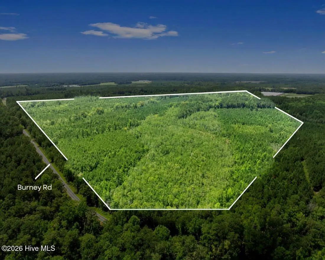 Na Burney Road, White Oak, NC 28399 - #1