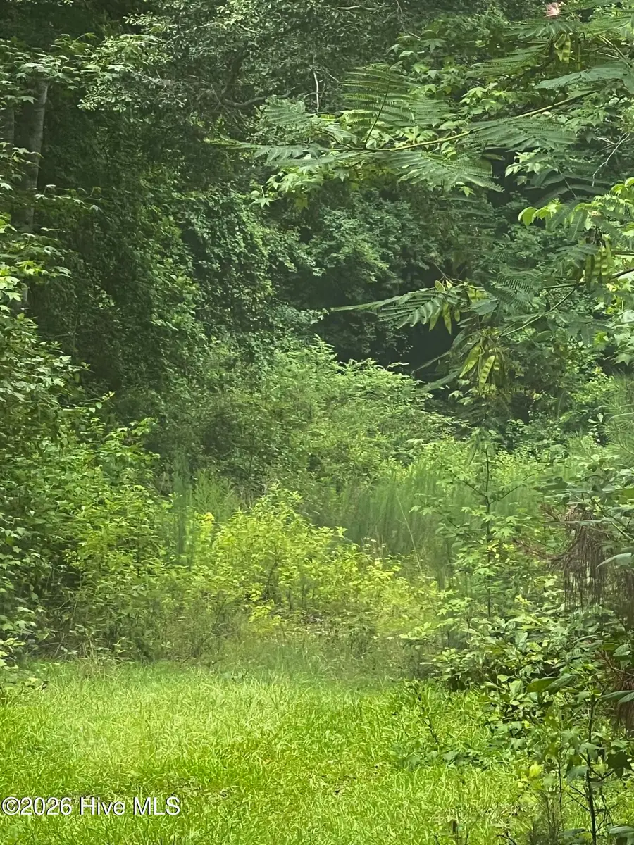 0 Davenport Country Lane, Tarboro, NC 27886 - #2
