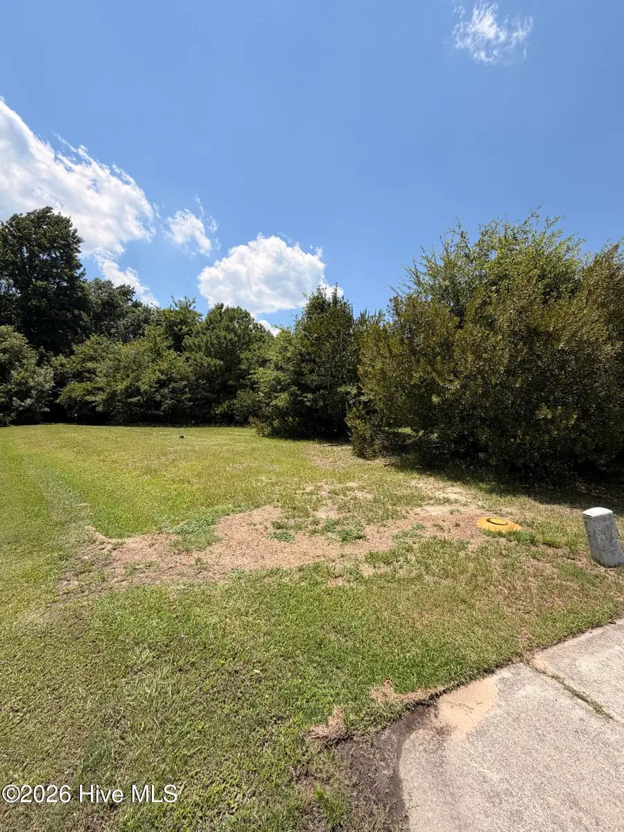 83 Pergola Place, Hampstead, NC 28443 - #3