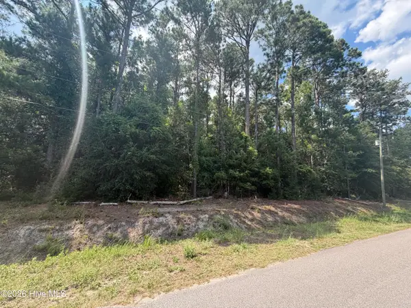 225 Pages Creek Drive, Wilmington, NC 28411