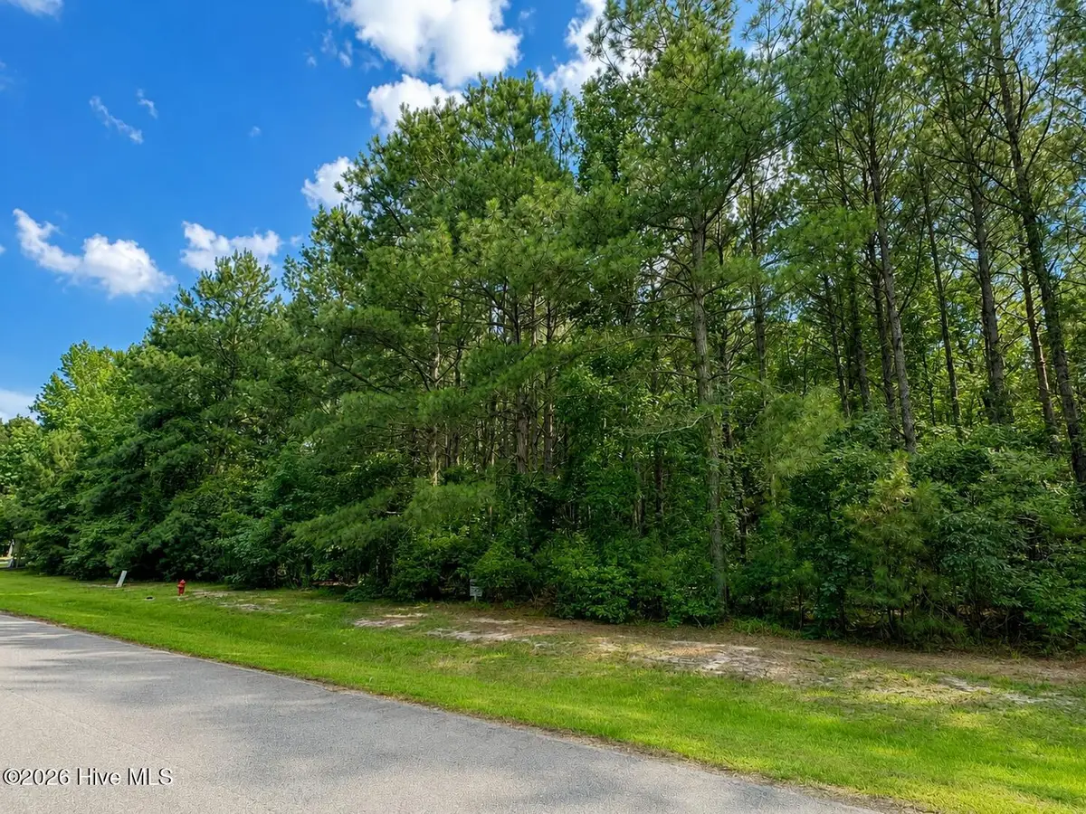 136 Norcum Point Road, Edenton, NC 27932 - #1