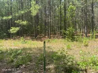 Tbd Boling Way, Southern Pines, NC 28387 - #2