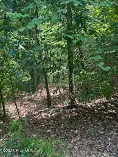 Tbd Boling Way, Southern Pines, NC 28387 - #3