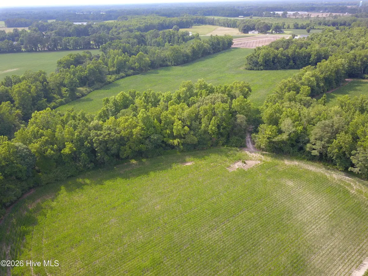 1817 Off S/ Road S, Chinquapin, NC 28521 - #1