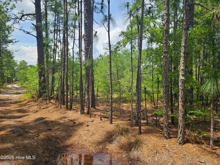 0 Phoenix Parkway, Navassa, NC 28451 - #2
