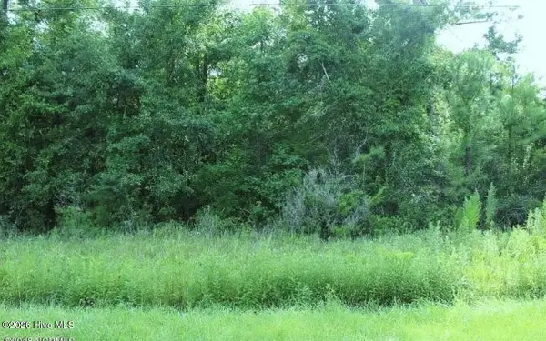 Lot 11 Jamaica Drive, Hampstead, NC 28443