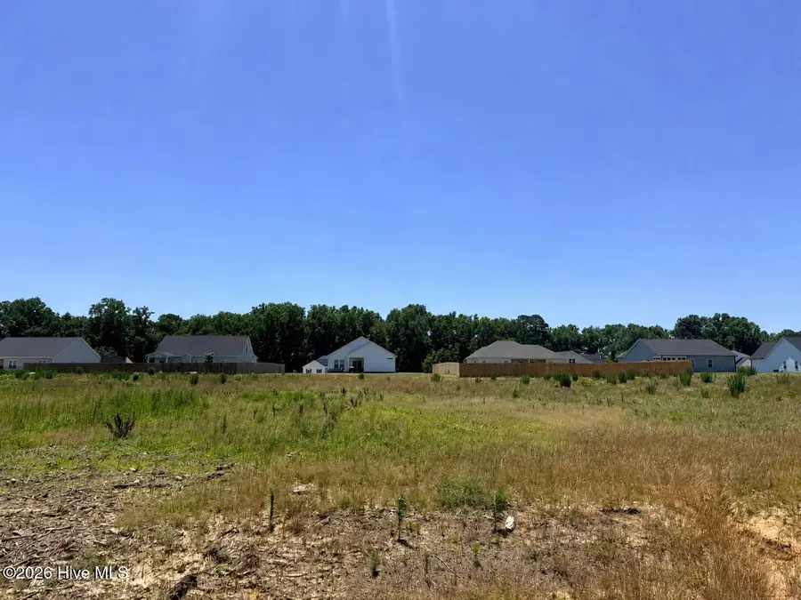 200 Jackson Ridge Way, Pikeville, NC 27863 - #2