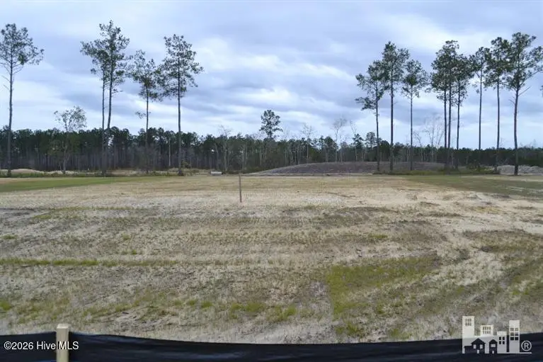 4154 Sea Salt Street, Leland, NC 28451 - #1