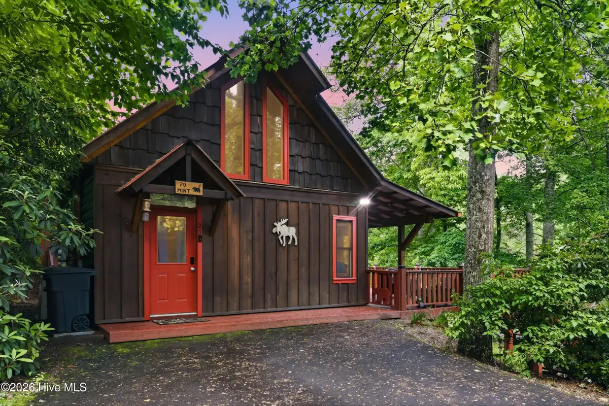 20 Mint Lane, Murphy, NC 28906 - #1