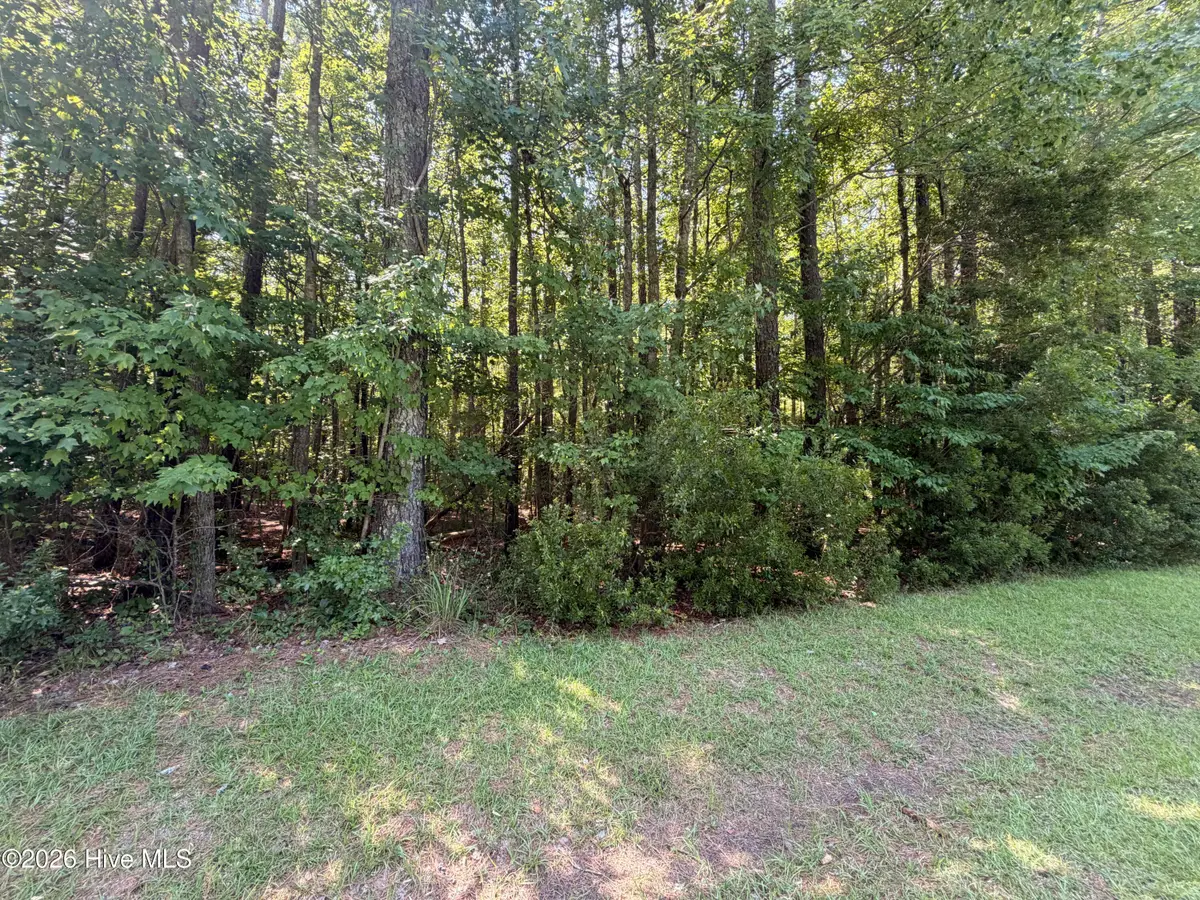 Lot 18 Off Sr 1119, Blounts Creek, NC 27814 - #1