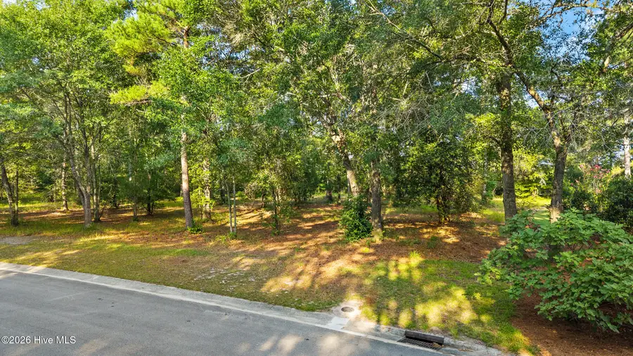 348 River Ridge Drive, Wallace, NC 28466 - #3