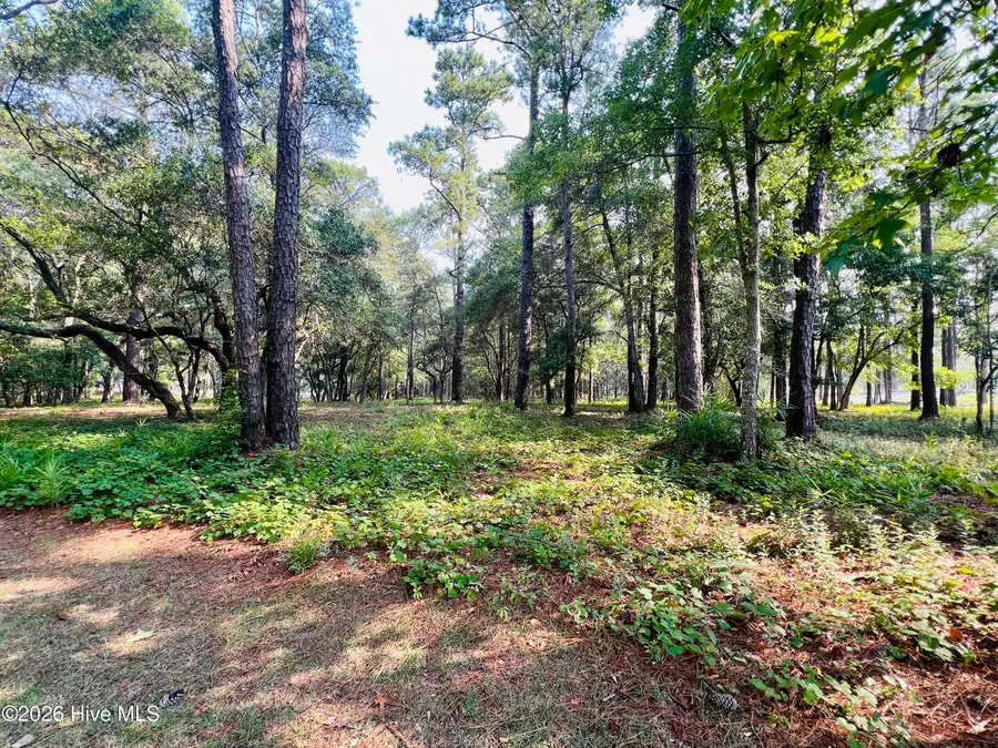 834 Blue Gill Court Se, Bolivia, NC 28422 - #2