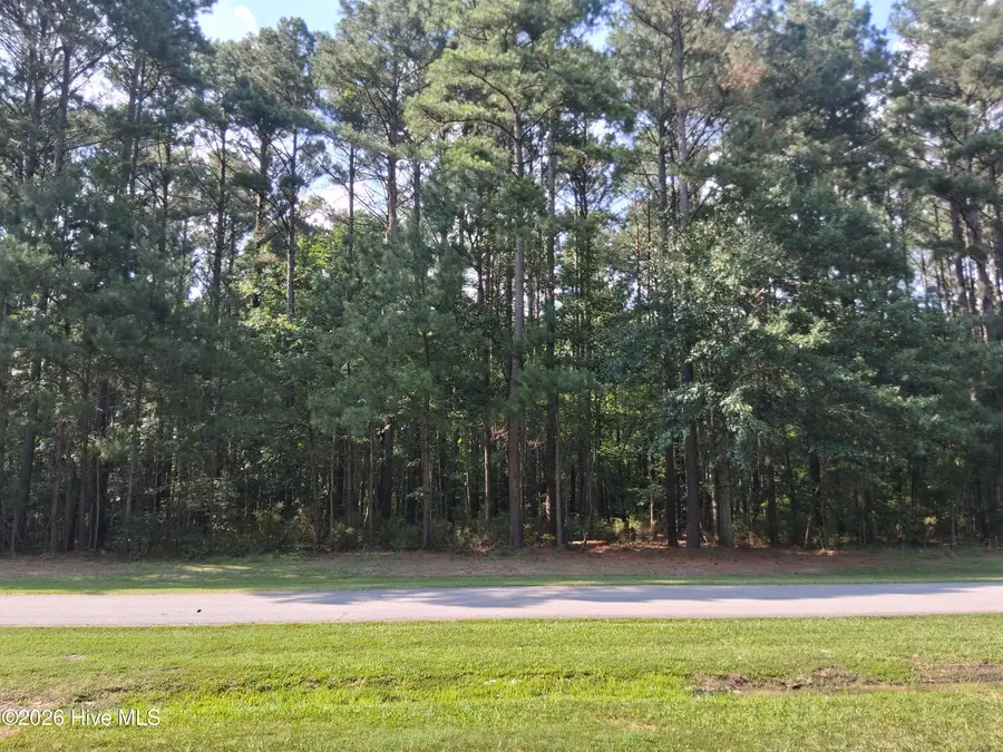 137 Indian Town Creek Drive, Hertford, NC 27944 - #2
