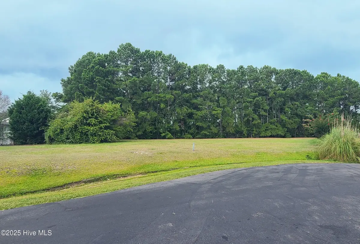 896 Birdie Court Sw, Calabash, NC 28467 - #1