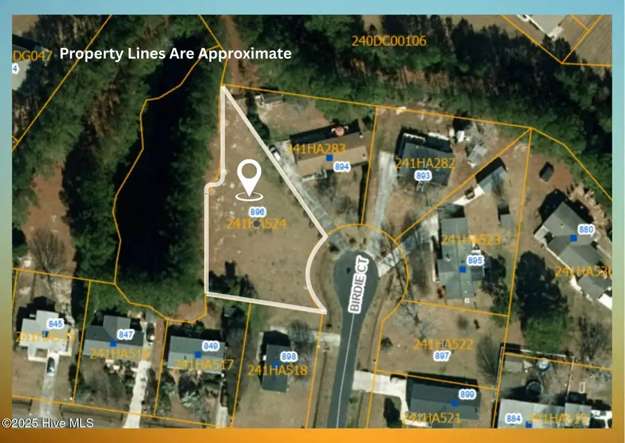 896 Birdie Court Sw, Calabash, NC 28467 - #3
