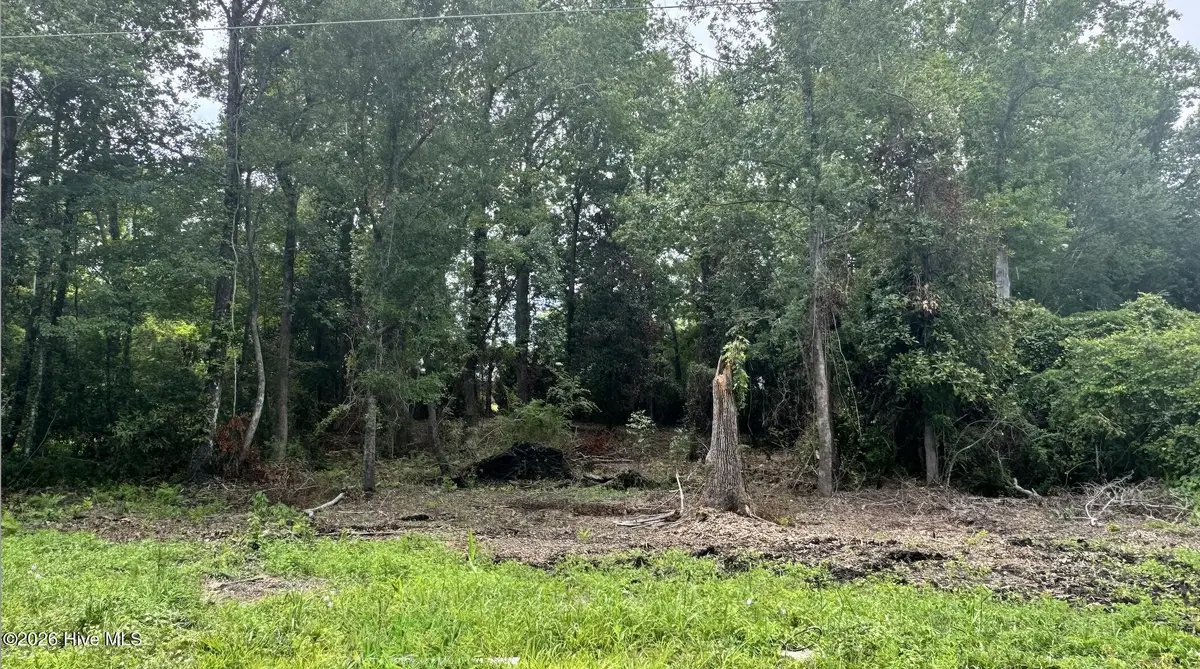 610 Dogwood Lane, Wilmington, NC 28409 - #1