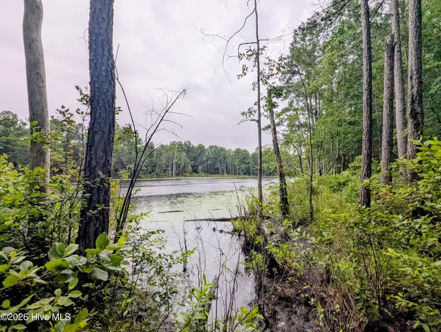 172 County Line Road, Ellerbe, NC 28338 - #2