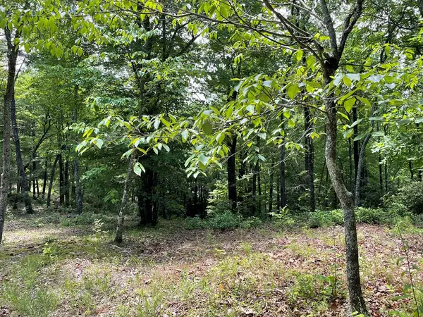 4 Collett Woods Trail, Andrews, NC 28901