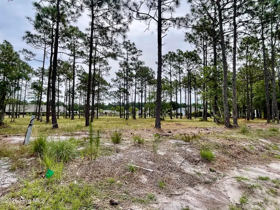 6808 Beckman Circle Sw, Ocean Isle Beach, NC 28469 - #2