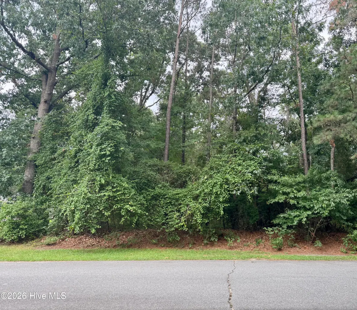 112 Deerborn Drive, Goldsboro, NC 27534 - #1