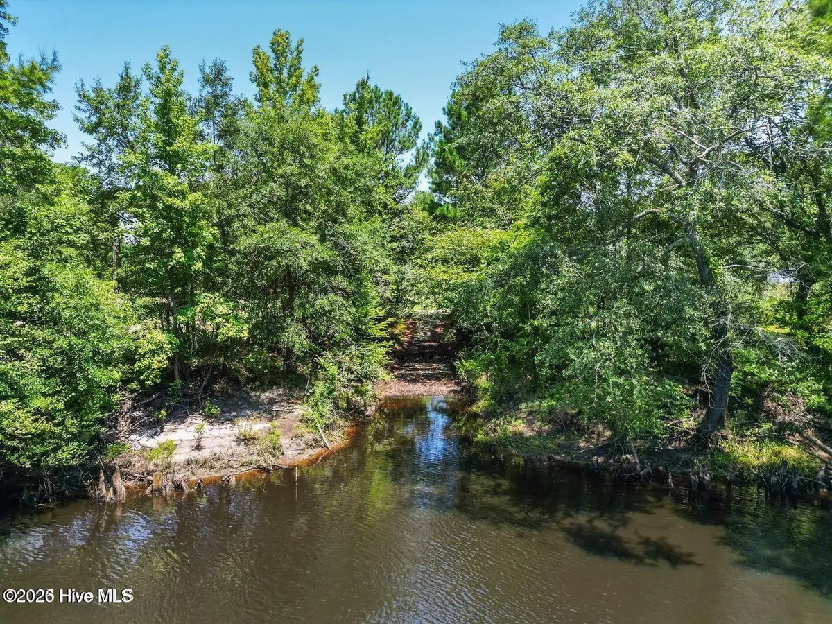354 Murray Turner Farm Road, Burgaw, NC 28425 - #1