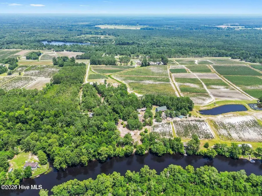 354 Murray Turner Farm Road, Burgaw, NC 28425 - #3