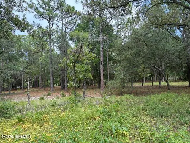 2942 Sugar Sand Drive Se, Bolivia, NC 28422 - #2