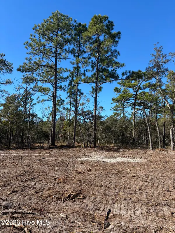 Lot 125 Coral Gull Street, Southport, NC 28461