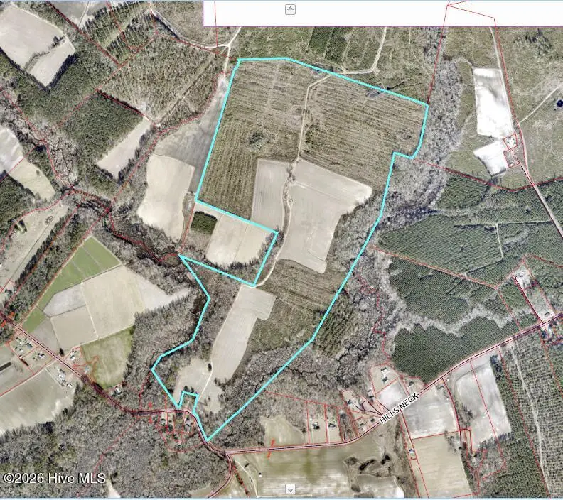 1601 Hills Neck Road, Ernul, NC 28527 - #2