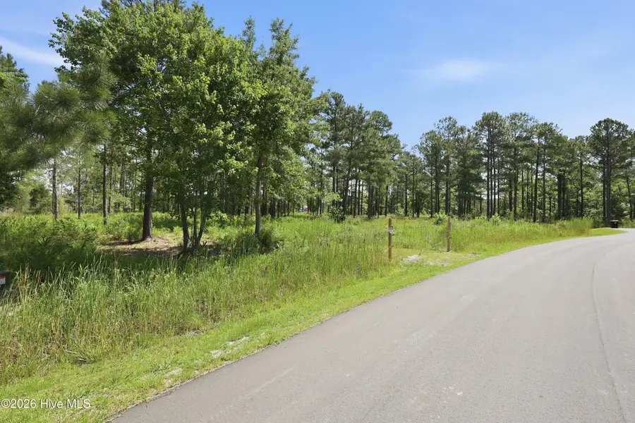 247 Shell Castle Lane, Vandemere, NC 28587 - #2