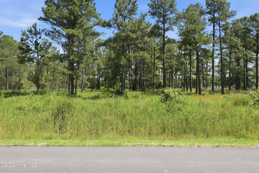 247 Shell Castle Lane, Vandemere, NC 28587 - #3