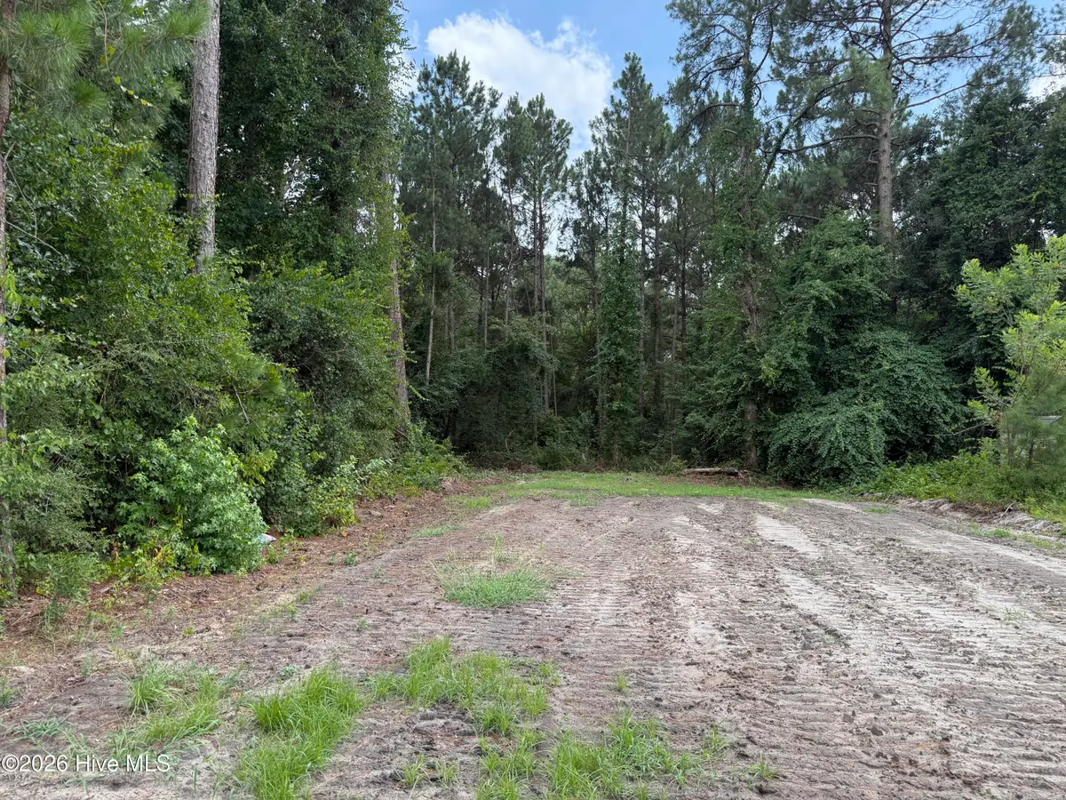 Lot 98 Grays Lane, Elizabethtown, NC 28337 - #1