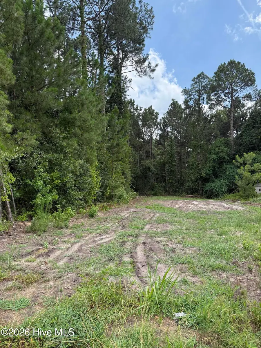 Lot 98 Grays Lane, Elizabethtown, NC 28337 - #2