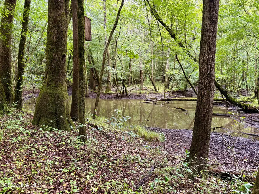 857 Mill River Road, Jacksonville, NC 28540 - #3