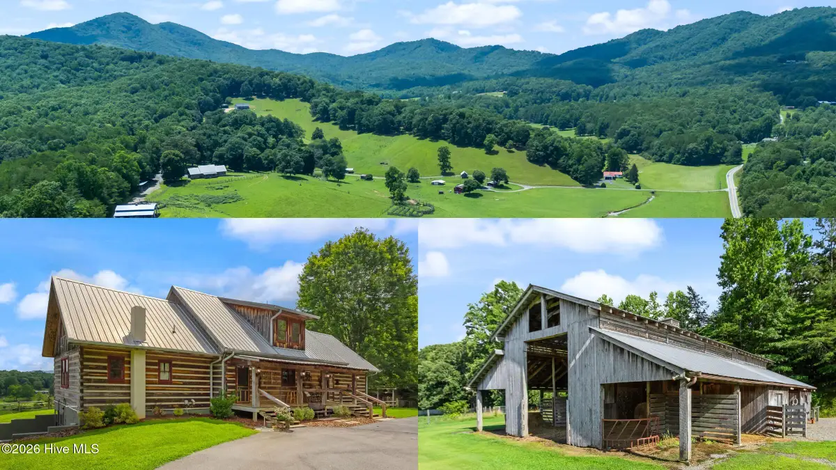 102 Cross Creek Lane, Warne, NC 28909 - #1