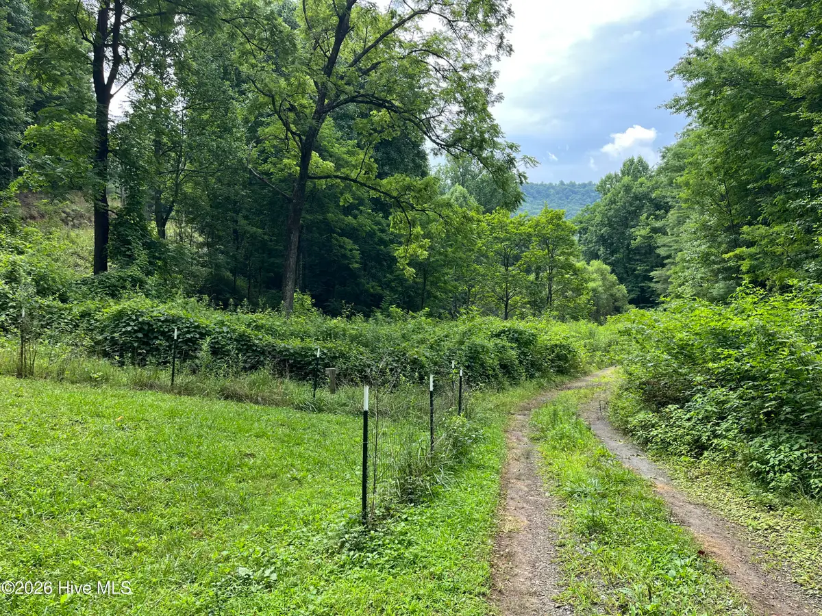 Lots 28/29 Bates Creek Road, Murphy, NC 28906 - #1