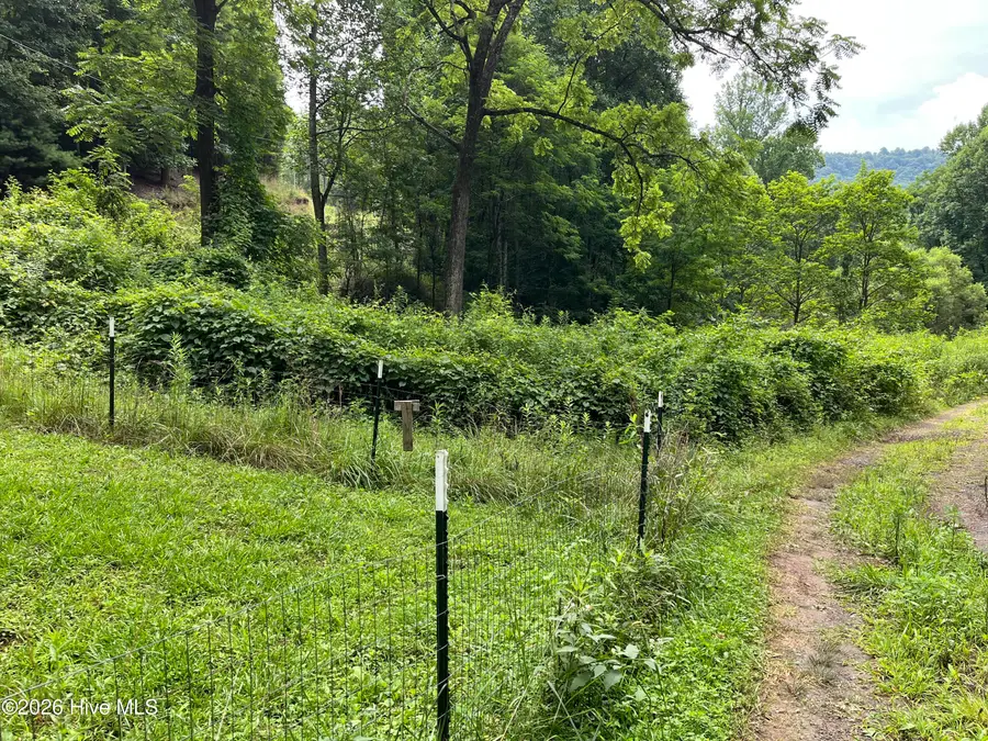 Lots 28/29 Bates Creek Road, Murphy, NC 28906 - #2