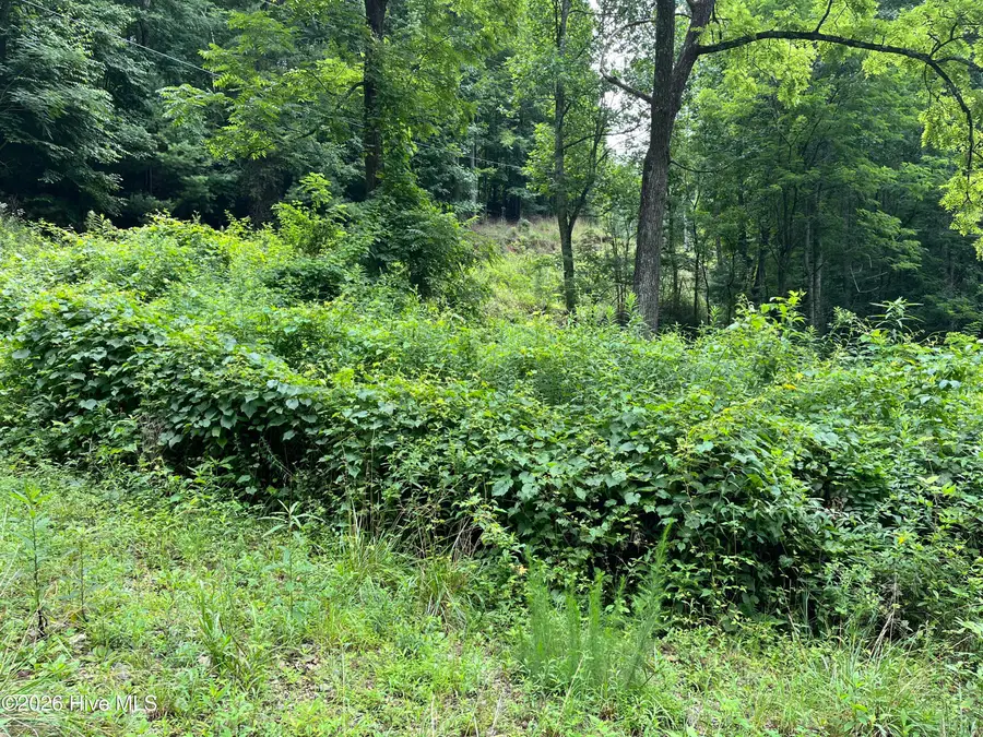 Lots 28/29 Bates Creek Road, Murphy, NC 28906 - #3