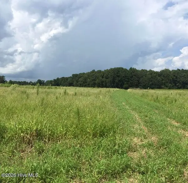 30.42 Ac Atlantic Breeze Drive, North Myrtle Beach, SC 29582