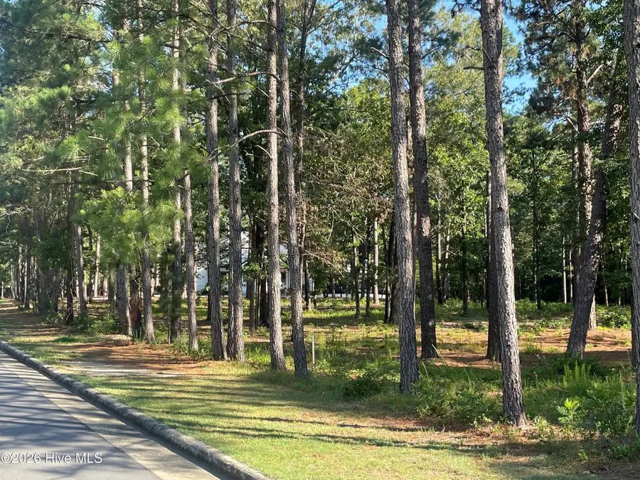 231 Meyer Farm Drive, Pinehurst, NC 28374 - #2