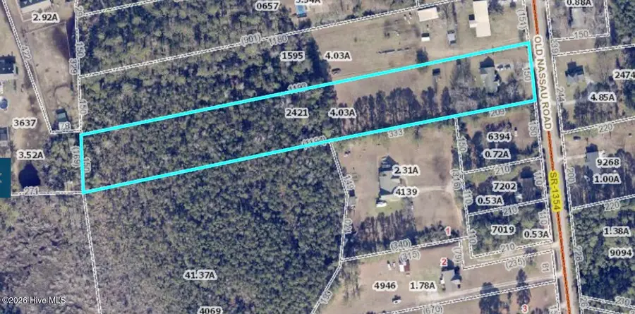238 Old Nassau Road, Smyrna, NC 28589 - #2