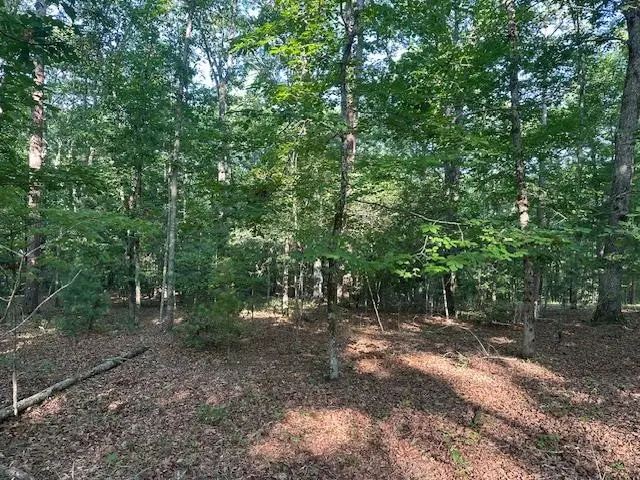 Lot 208 Boulder Creek Road, Murphy, NC 28906 - #1