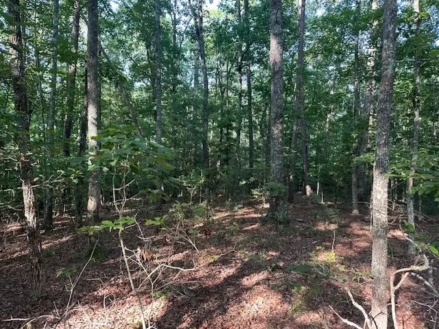 Lot 208 Boulder Creek Road, Murphy, NC 28906 - #2