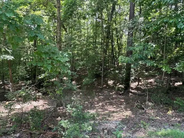 Lot 208 Boulder Creek Road, Murphy, NC 28906 - #3